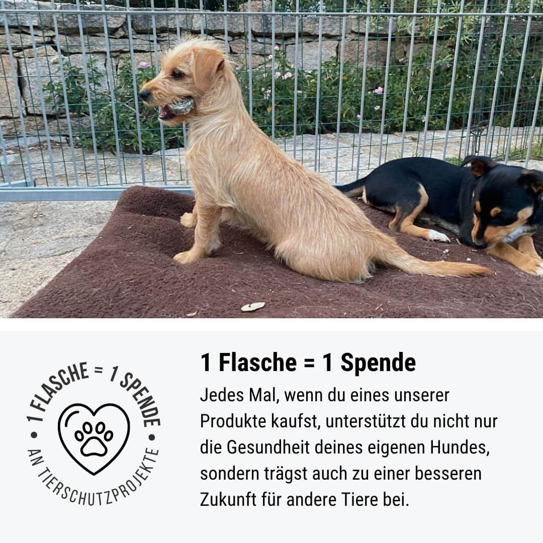 Tales & Tails - Für höchste Hanforderungen 250ml