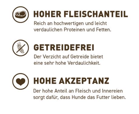 Classic Adult Wild mit Kürbis