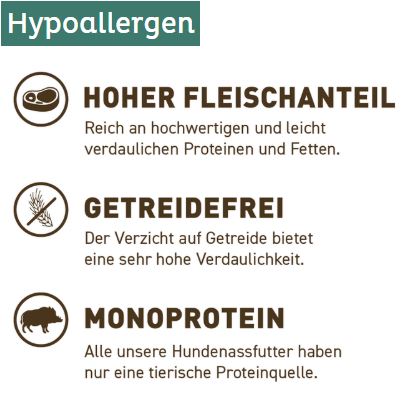 Classic Adult Wildschwein mit Pastinake, Brombeeren, Wildkräutern und Distelöl