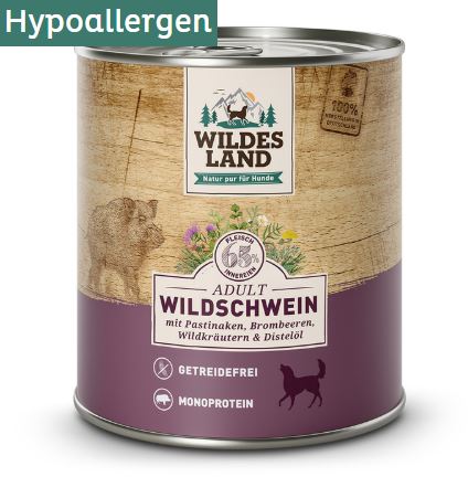 Classic Adult Wildschwein mit Pastinake, Brombeeren, Wildkräutern und Distelöl