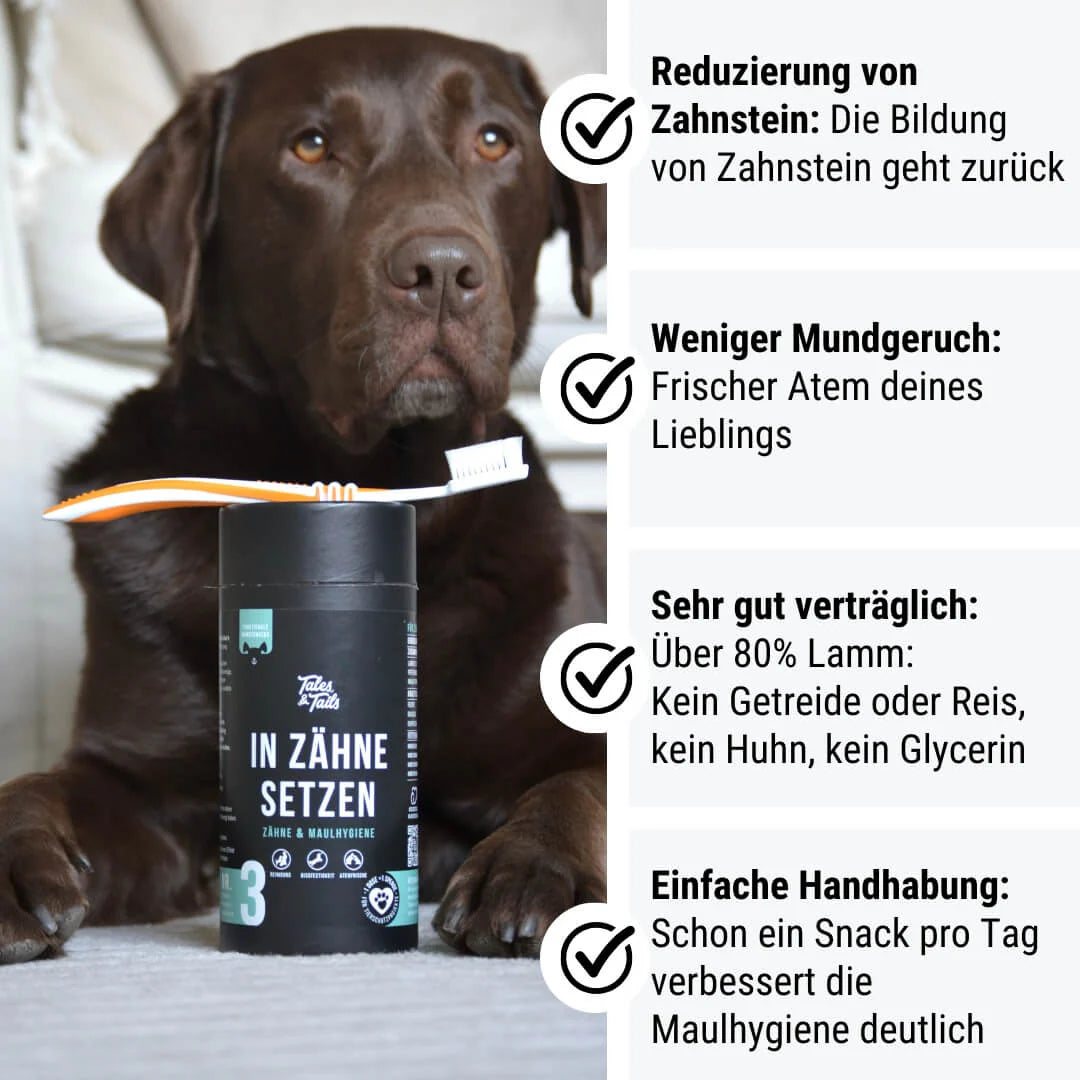Tales&Tails Nr. 3 In Zähne setzen