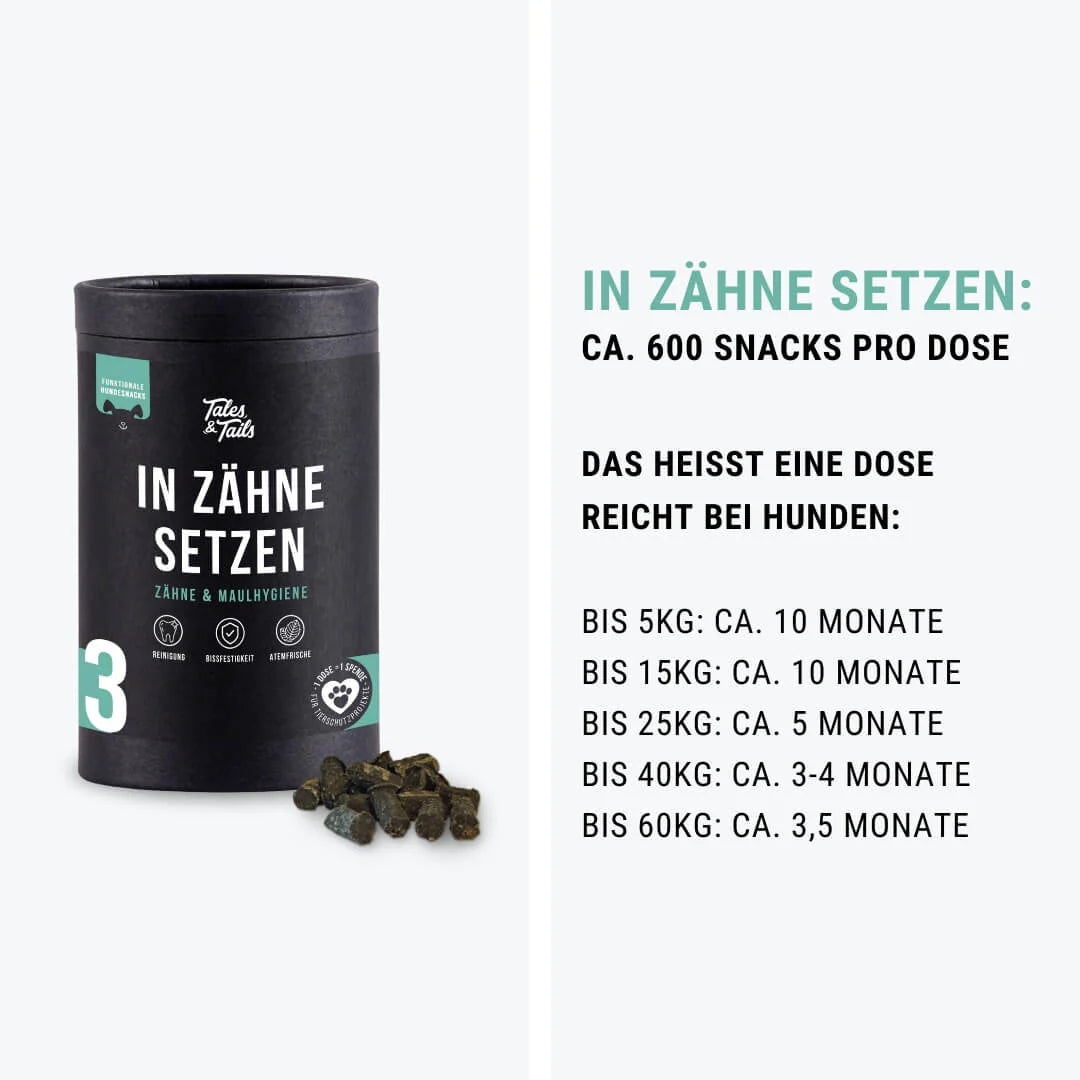 Tales&Tails Nr. 3 In Zähne setzen